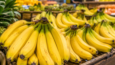Best Masaco Banana Near Me